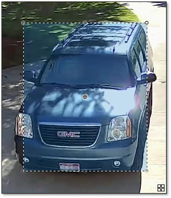 EyesOnIt motion detection threshold image