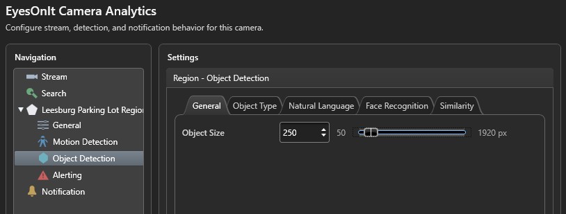 Region object detection settings with tabs