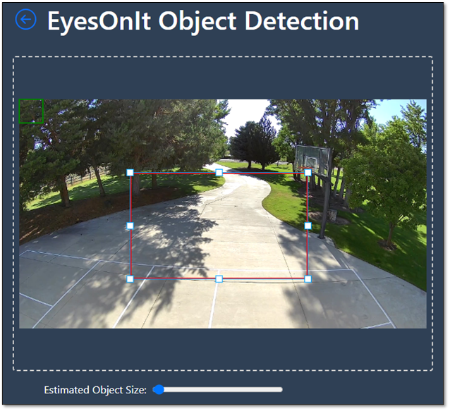 EyesOnIt detection region