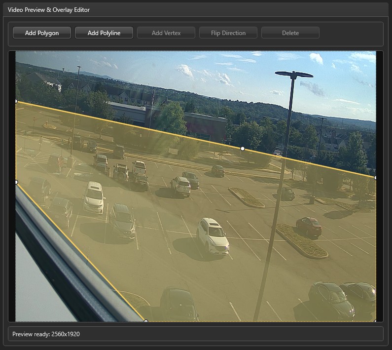 Video preview with detection region and boundary line